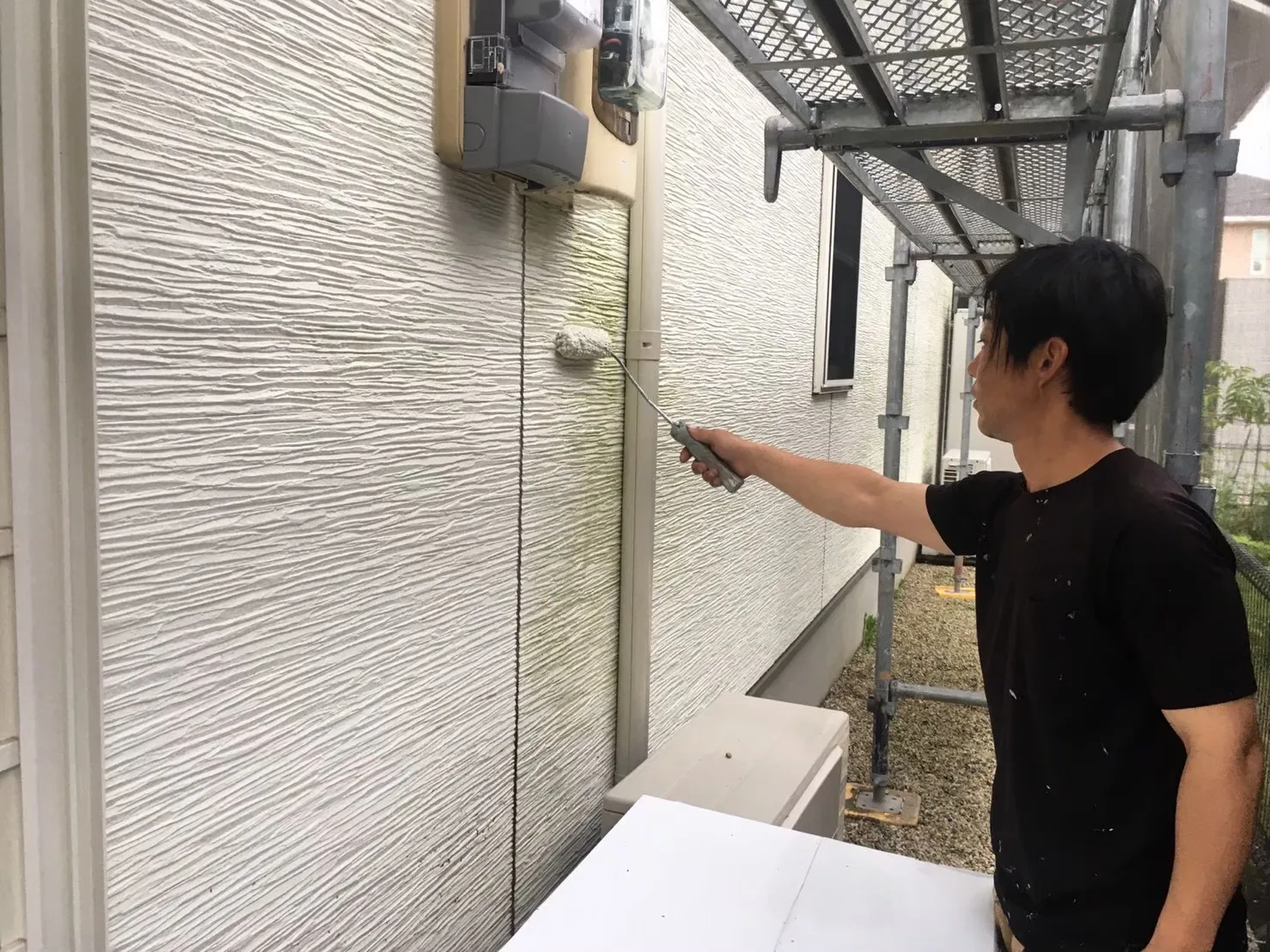 佐賀市鍋島 外壁塗装 サイディング コケ取り薬品塗布 高圧洗浄